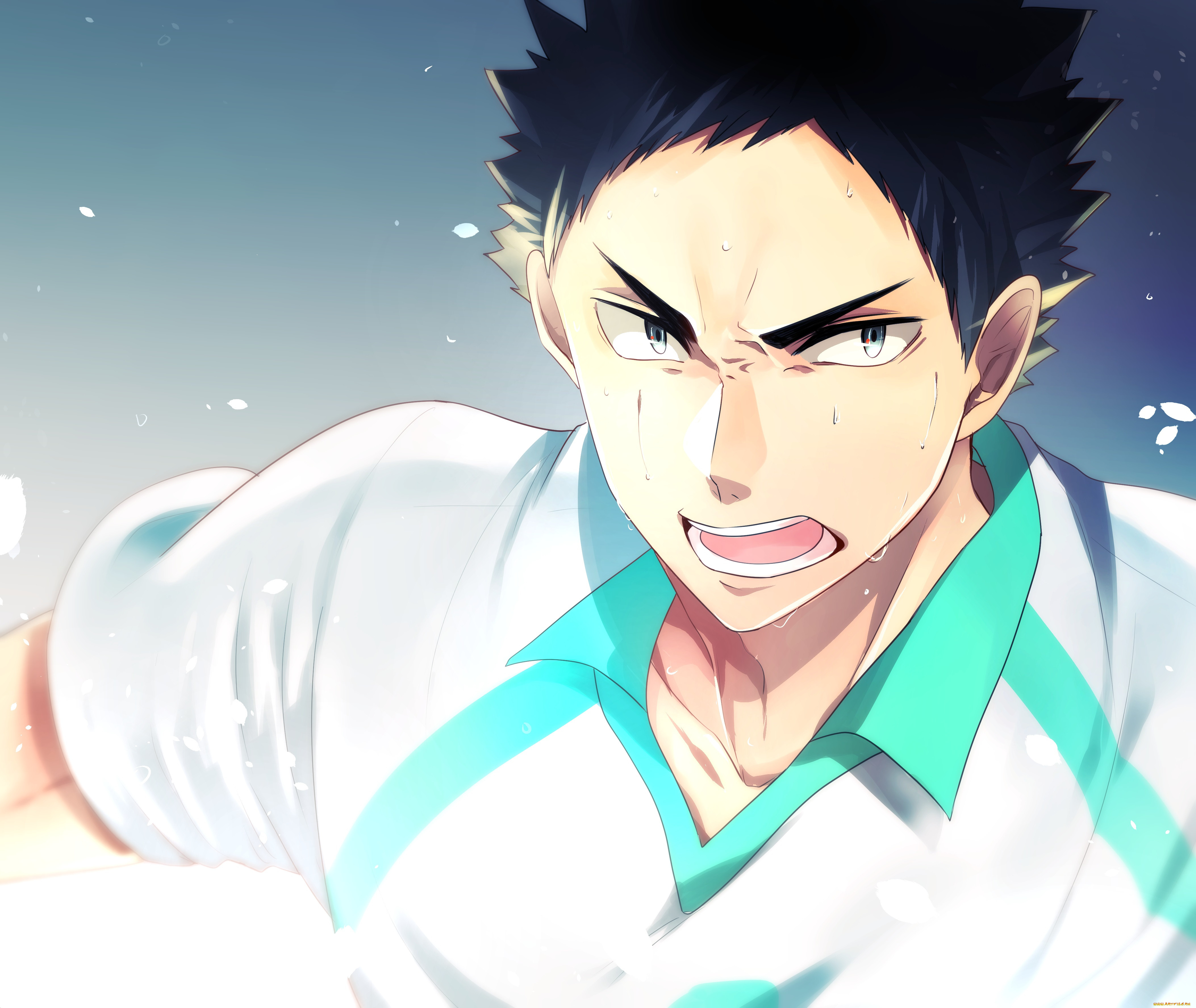 , haikyuu, iwaizumi, hajime